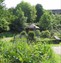Brownhill's award winning Nature Garden