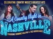 Country night poster