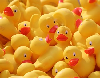 plastic ducks