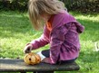Forest School Halloween Workshop (under 8's) at Daisy Nook Country Park