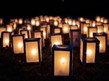 a multitude of lanterns