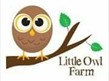 Craft Week at Little Owl Farm