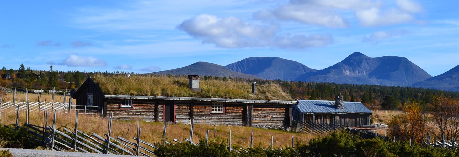 Skånborket, Rendalen