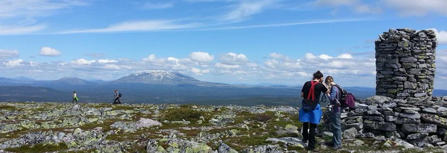 På toppen av Renåfjellet ved Vardebua