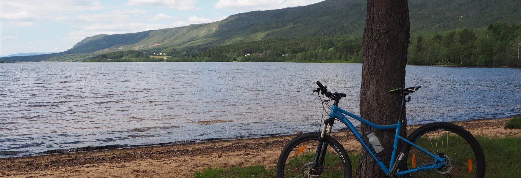 Sykkeltur langs Lomnessjøen i Rendalen