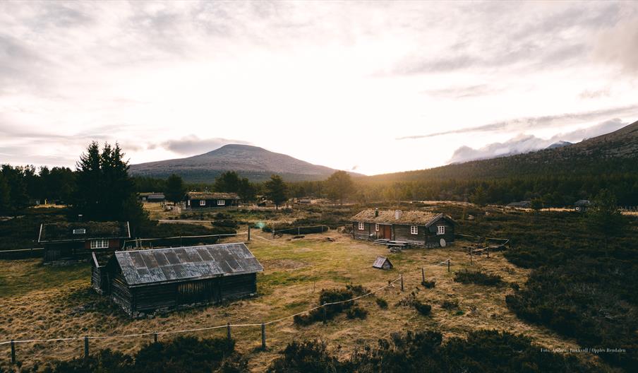 Utsikt over Mistdalen i Rendalen en stille kveld, med lav sol som skinner gjennom skyene og belyser det åpne landskapet. Tradisjonelle trehytter med torvtak ligger spredt i terrenget, omgitt av frodig skog og majestetiske fjell i bakgrunnen. Elven slynger seg gjennom dalen, og området utstråler en rolig, uberørt villmarksstemning.