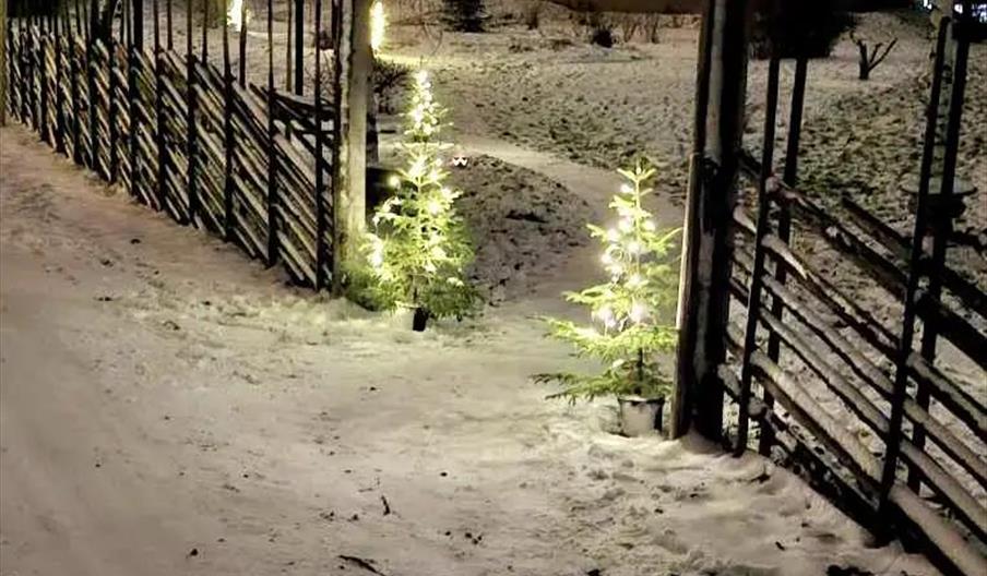 Julemarked Rendalstunet