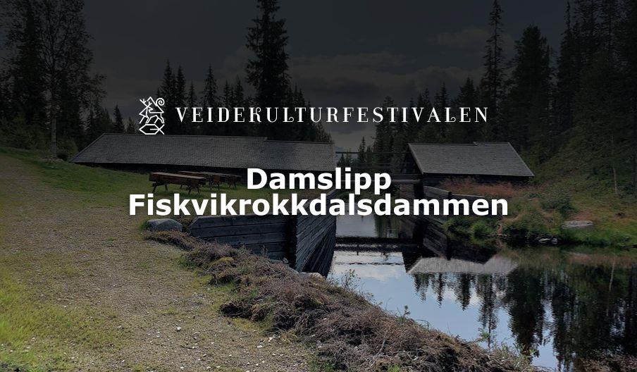 Damslipp
