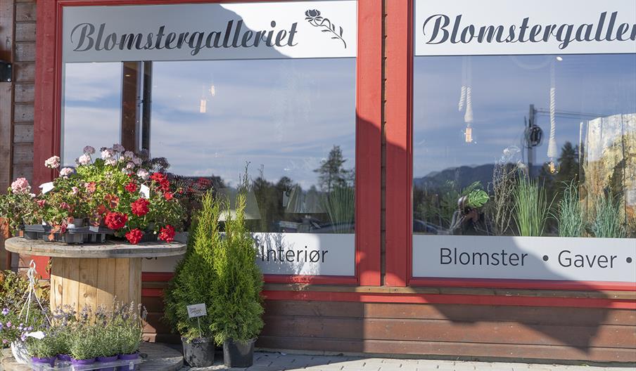 Blomstergalleriets fasade på Misterhallen, Åkrestrømmen