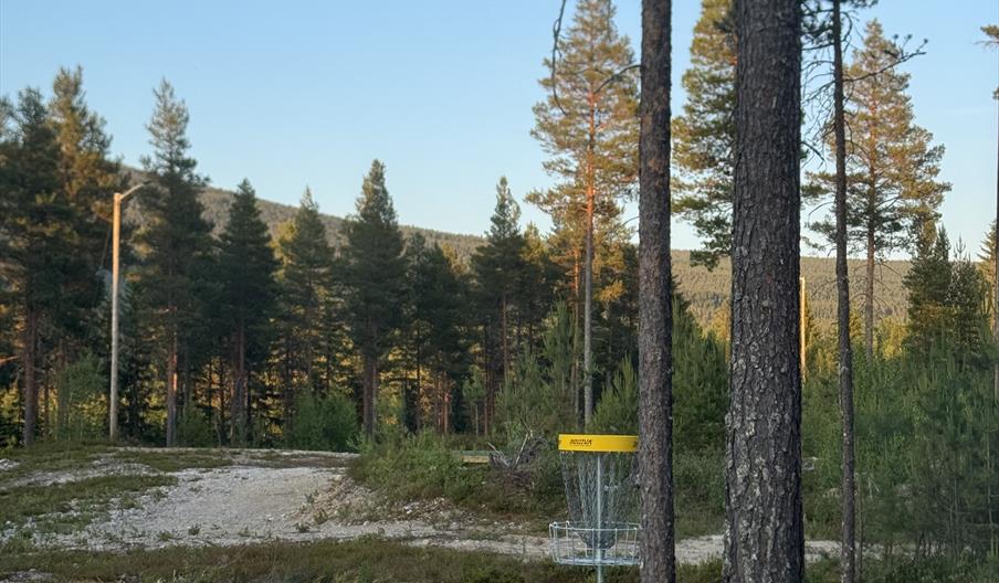 Frisbeekurv