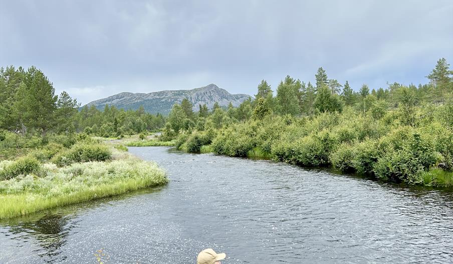 Fiske i Mistra elva