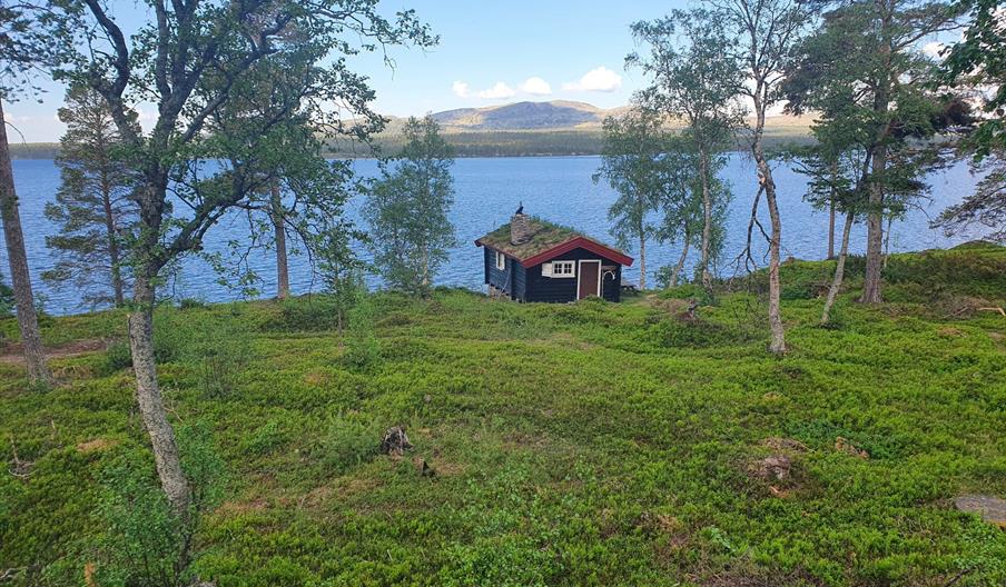 Nøsterhuset, Rendalen kommuneskoger