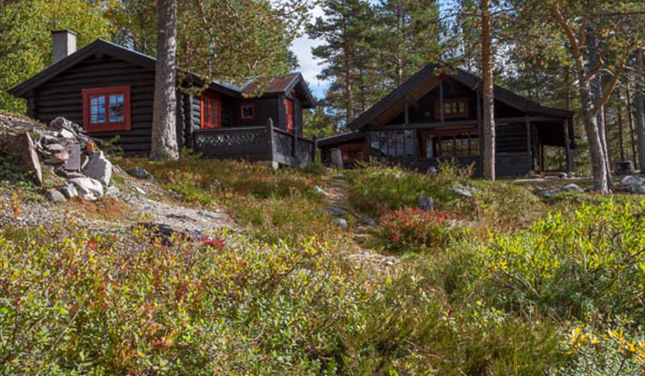 Sølenvika: Hovedbølet