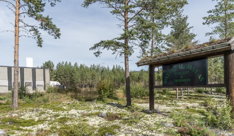 Bedriften sett fra Engerdalsveien