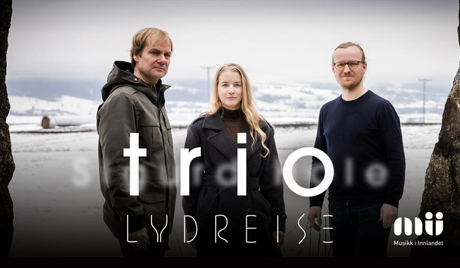 Lydreise trio
