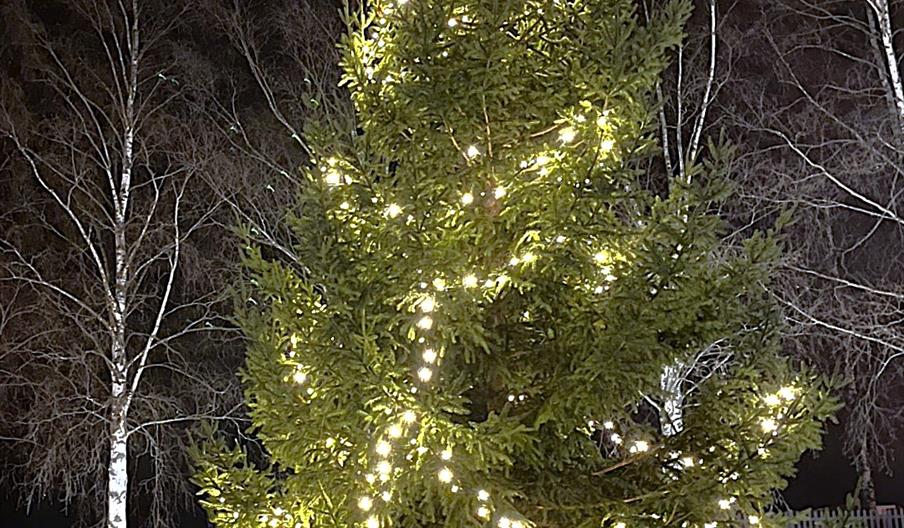 2024-utgaven av julegrana ved kommunehuset.