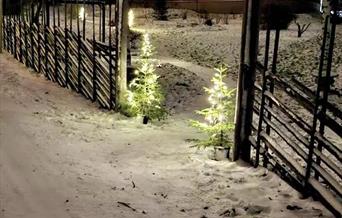 Julemarked Rendalstunet