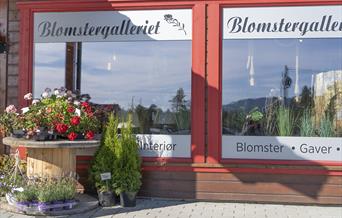 Blomstergalleriets fasade på Misterhallen, Åkrestrømmen