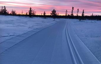 Flotte løyper i måneskinn, Rendalen løypelag