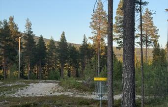 Frisbeekurv