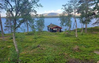 Nøsterhuset, Rendalen kommuneskoger
