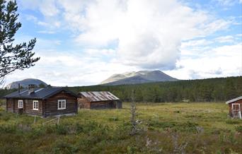 Utstustua, Utstu Lomnes