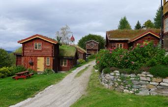 Vakkert tun ved Romenstad hytter