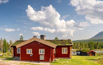 Tradisjonell hytte med torvtak, på hyttetun i fjellandskap ved innsjø