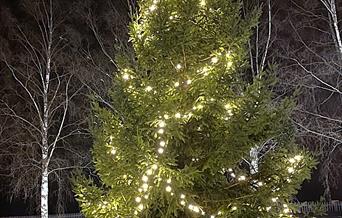 2024-utgaven av julegrana ved kommunehuset.