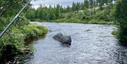 Fiske i Mistra elva