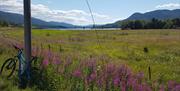 Sykkeltur langs vakre Lomnessjøen, foto Ine Gulbæk