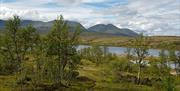 Ved Sandtjønna og Sandbu, foto Ine Gulbæk