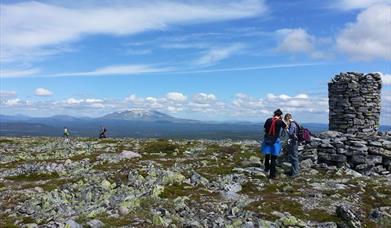 På toppen av Renåfjellet ved Vardebua, foto Ine Gulbæk