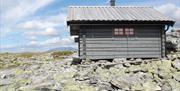 Vardebua, Renåfjellet 1028 m.o.h., foto Ine Gulbæk