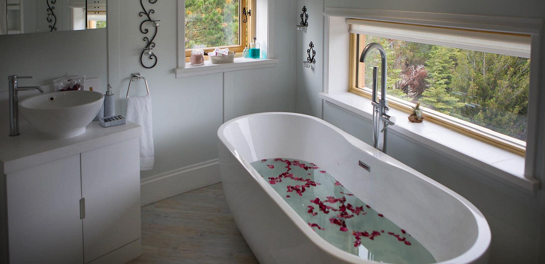 Bath overlooking forest