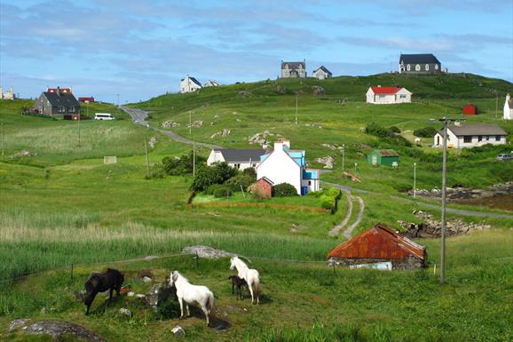Eat Drink Hebrides - Eriskay Shop ponies