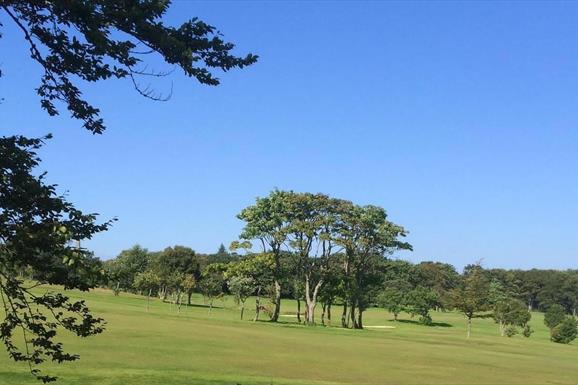 Stornoway Golf course green with trees