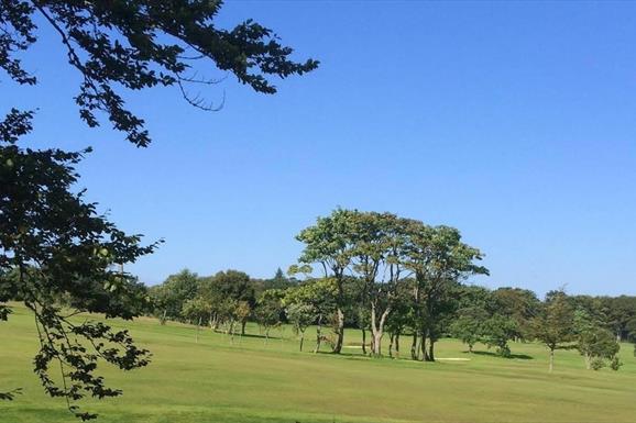 Stornoway Golf course green with trees