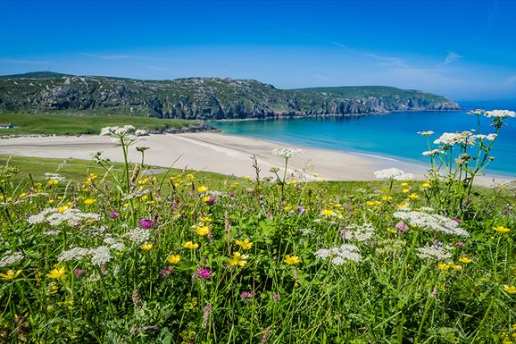 Cliff Uig, Isle of Lewis. Beach view from top of hill with machair flowers in foreground and sandy beach, turquoise waters and hills in the background