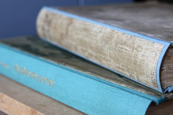 Sollas Bookbinding 2 blue books