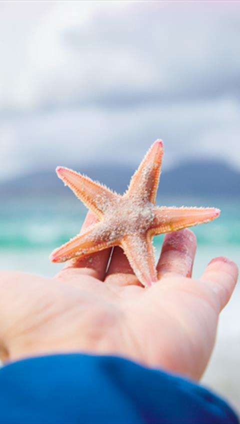 Frequently Asked Questions For 2021 Travel Outer Hebrides