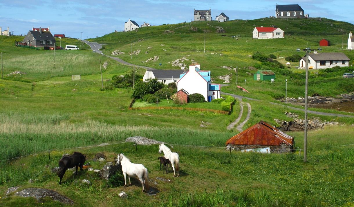 Eat Drink Hebrides - Eriskay Shop ponies