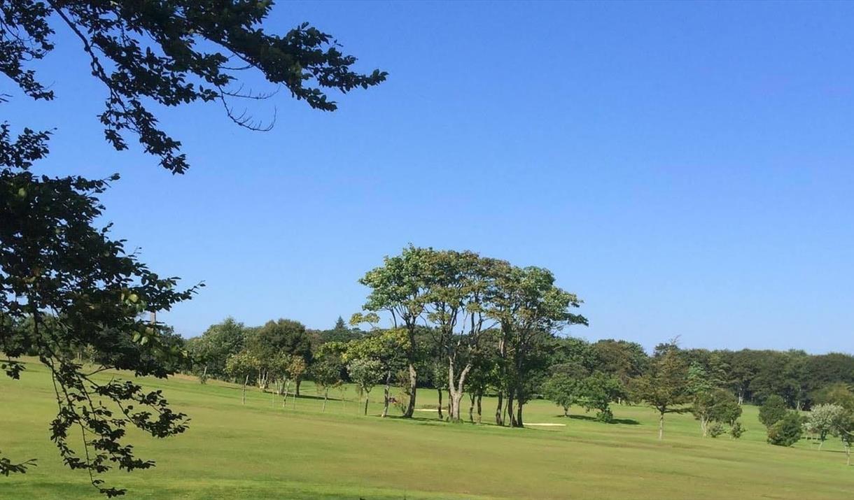 Stornoway Golf course green with trees