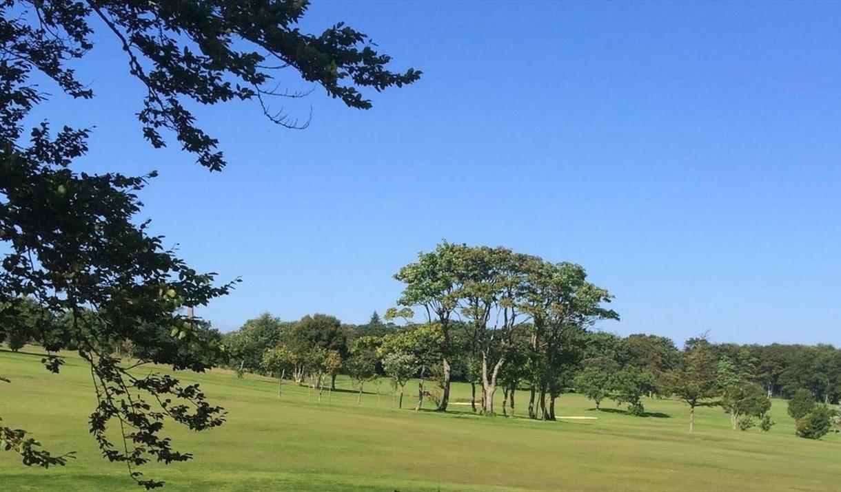 Stornoway Golf course green with trees