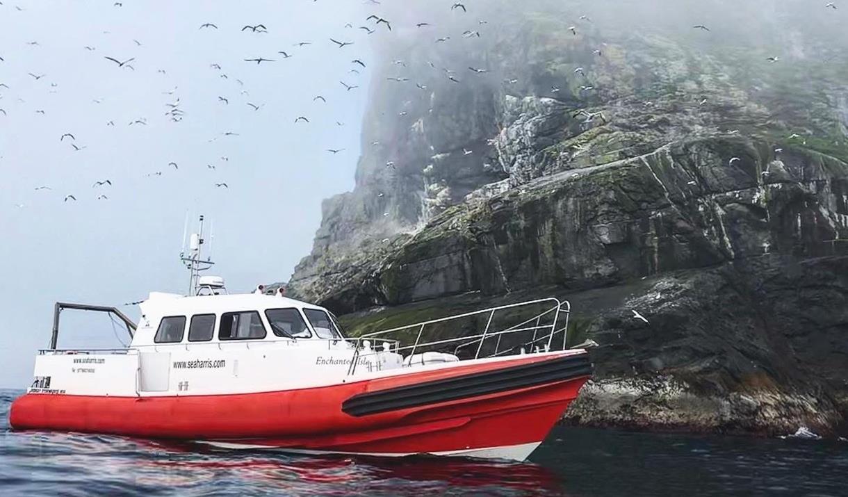 Uist Sea Tours puffins