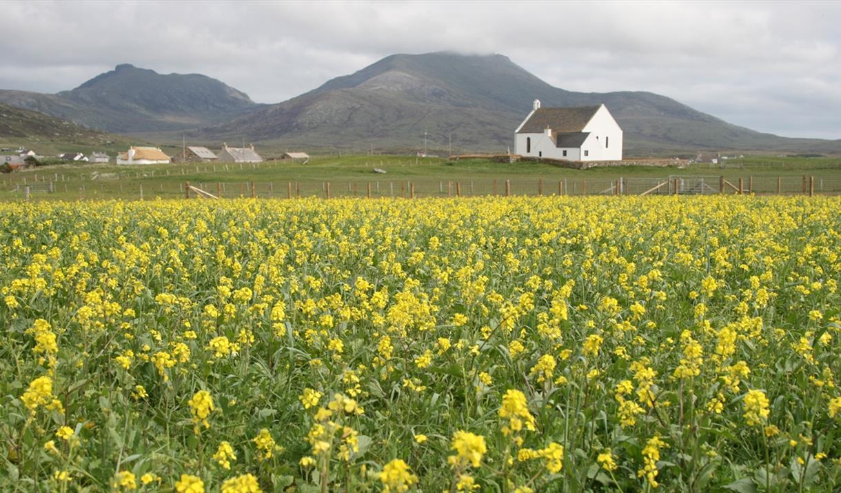 Howmore Machair