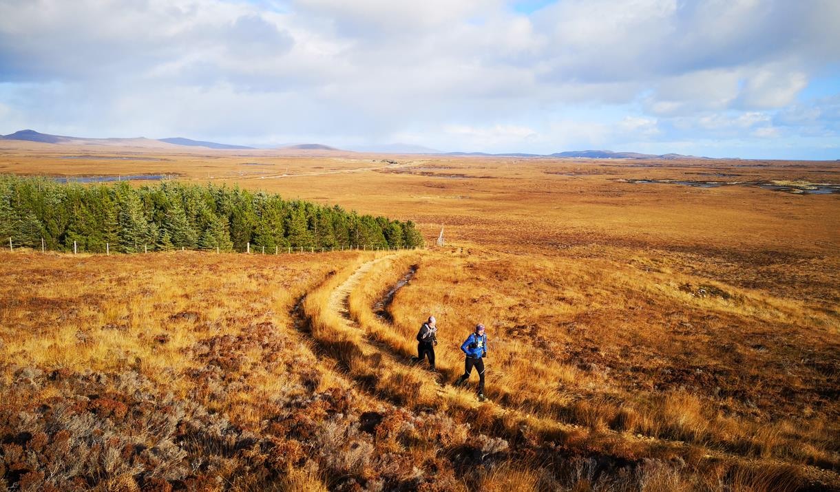 North Uist: Langass Woods runners
