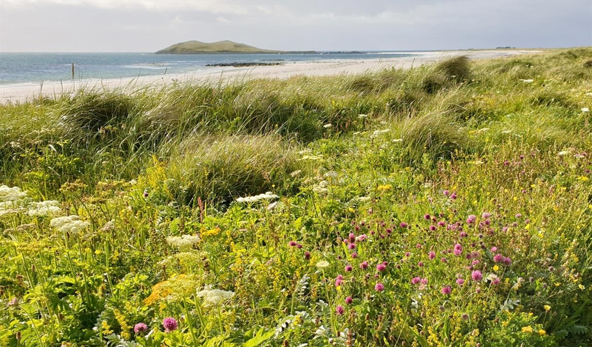 Garrynamonie Machair & Beach