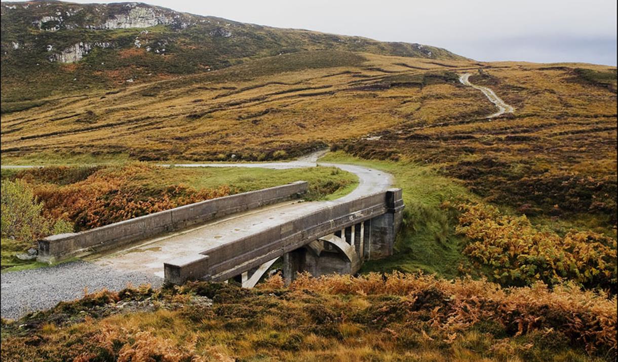 are dogs allowed in the bridge to nowhere