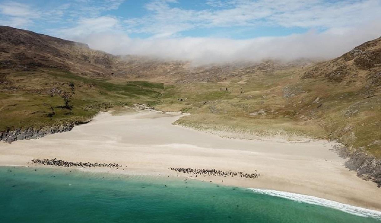 mingulay boat trips from barra